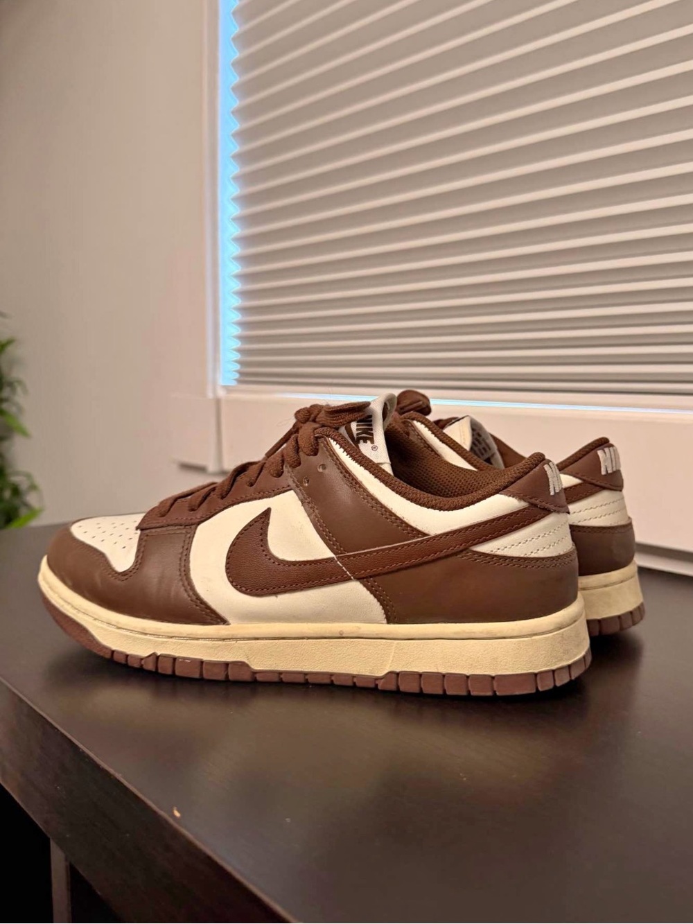 Nike Brown Dunks Youth size 7